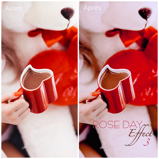 Pack 14 Presets Lightroom VALENTINE Effect - Mobile & Ordinateur