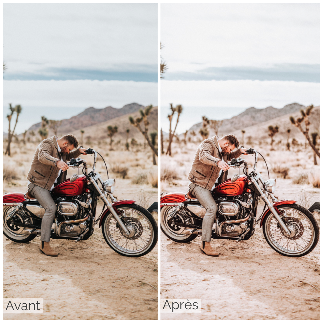Presets Lightroom BROWN Tint Effect - Mobile & Ordinateur
