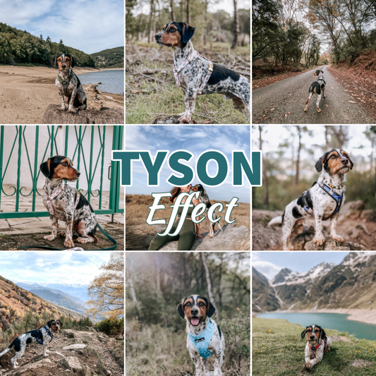 Presets Lightroom TYSON Effect - Mobile & Ordinateur