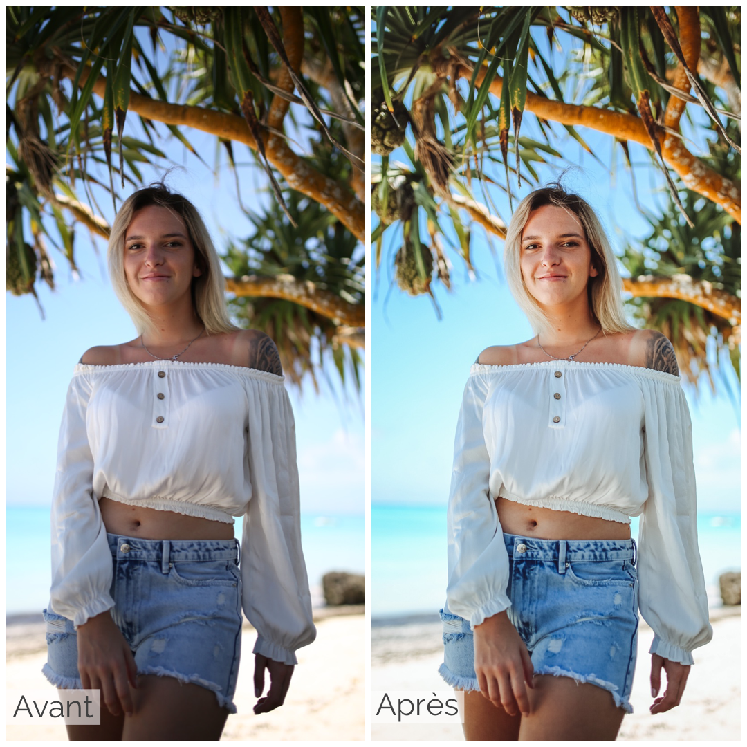 Presets Lightroom Fresh Effect - Mobile & Ordinateur