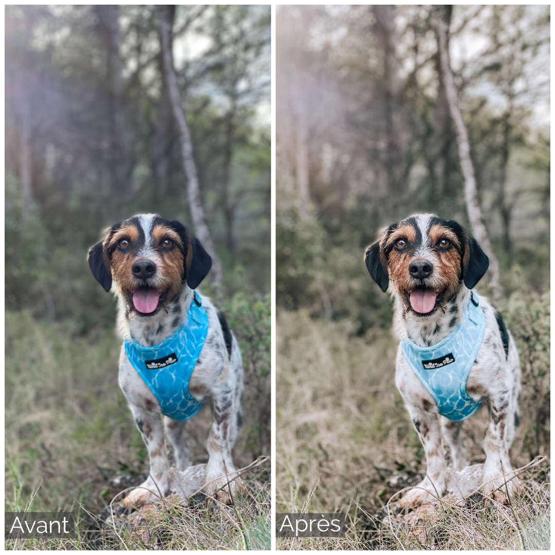 Presets Lightroom TYSON Effect - Mobile & Ordinateur