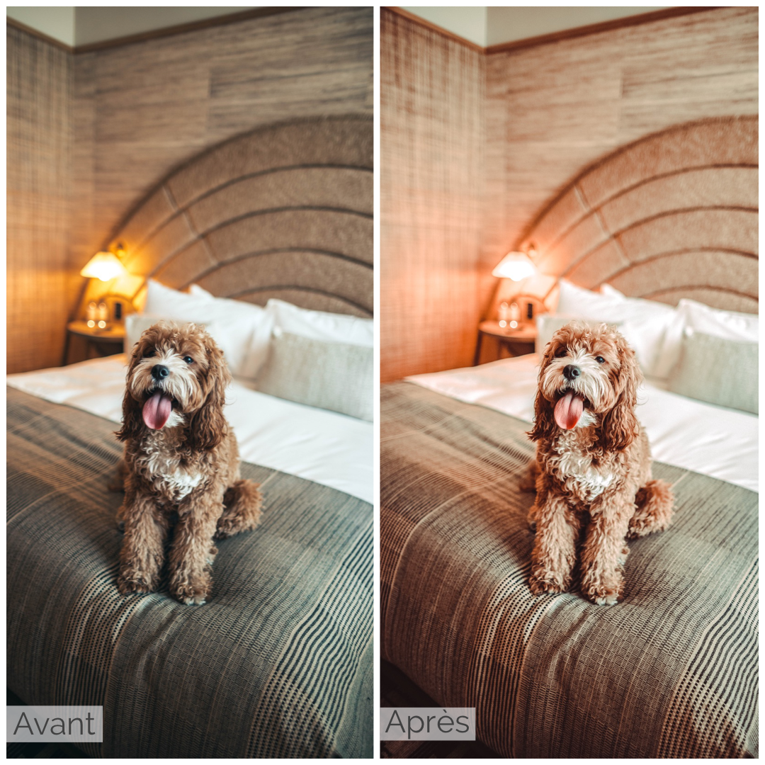 Presets Lightroom BROWN Effect - Mobile & Ordinateur