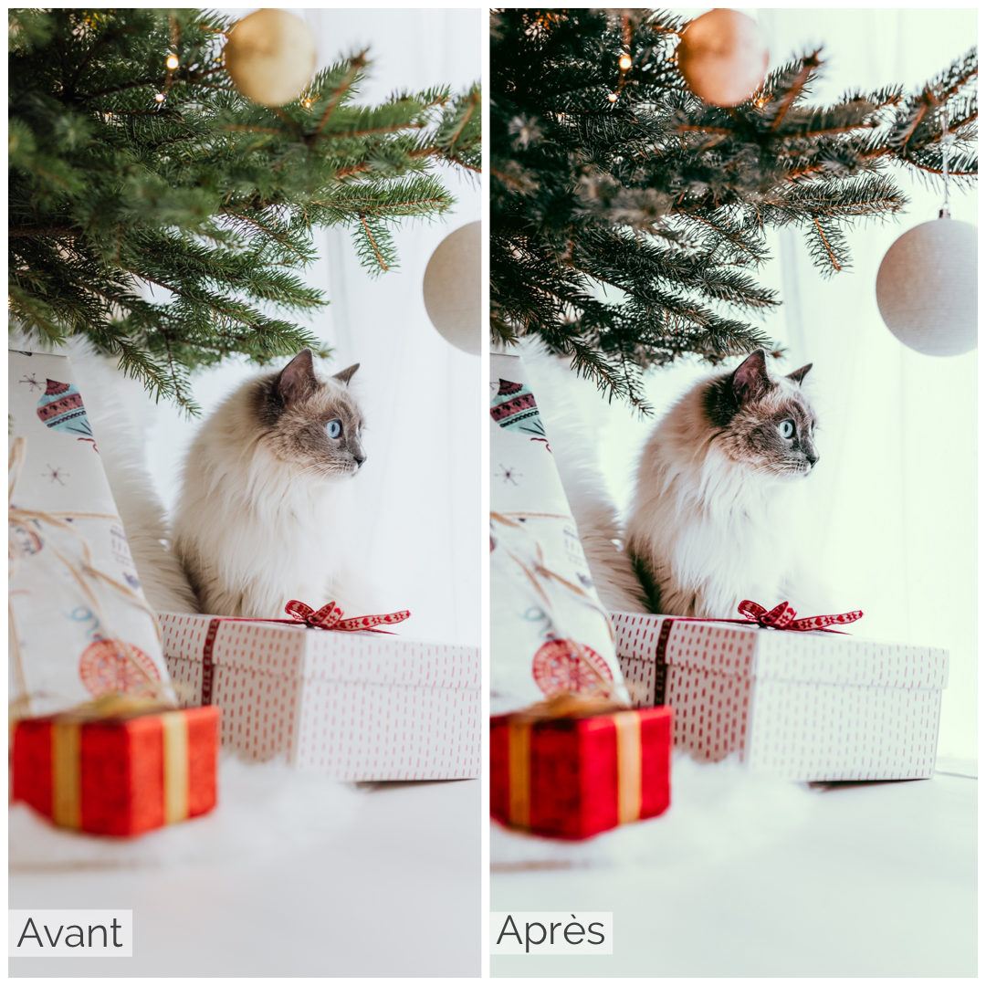 Presets Lightroom Blue Xmas Effect - Mobile & Ordinateur