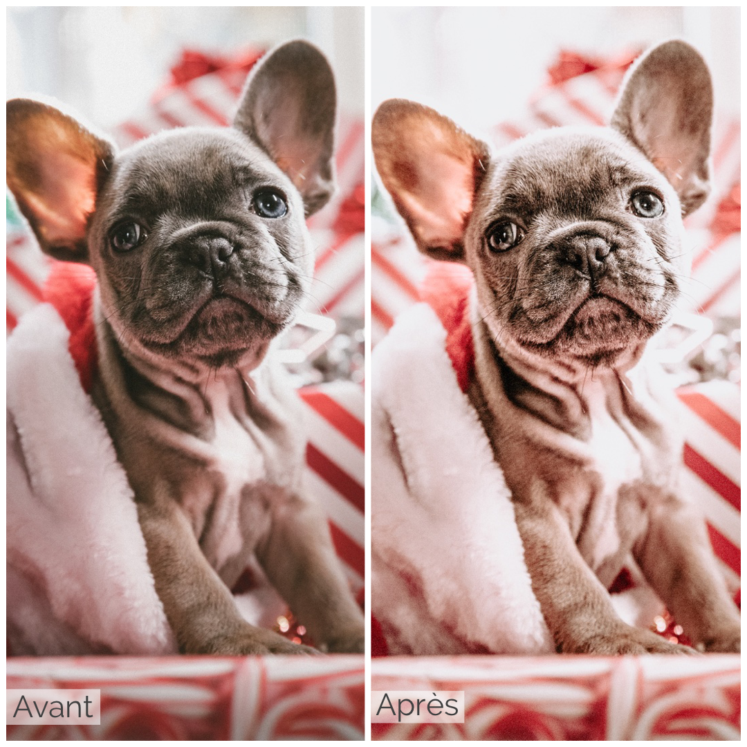 Presets Lightroom FLASH LIGHT Effect - Mobile & Ordinateur