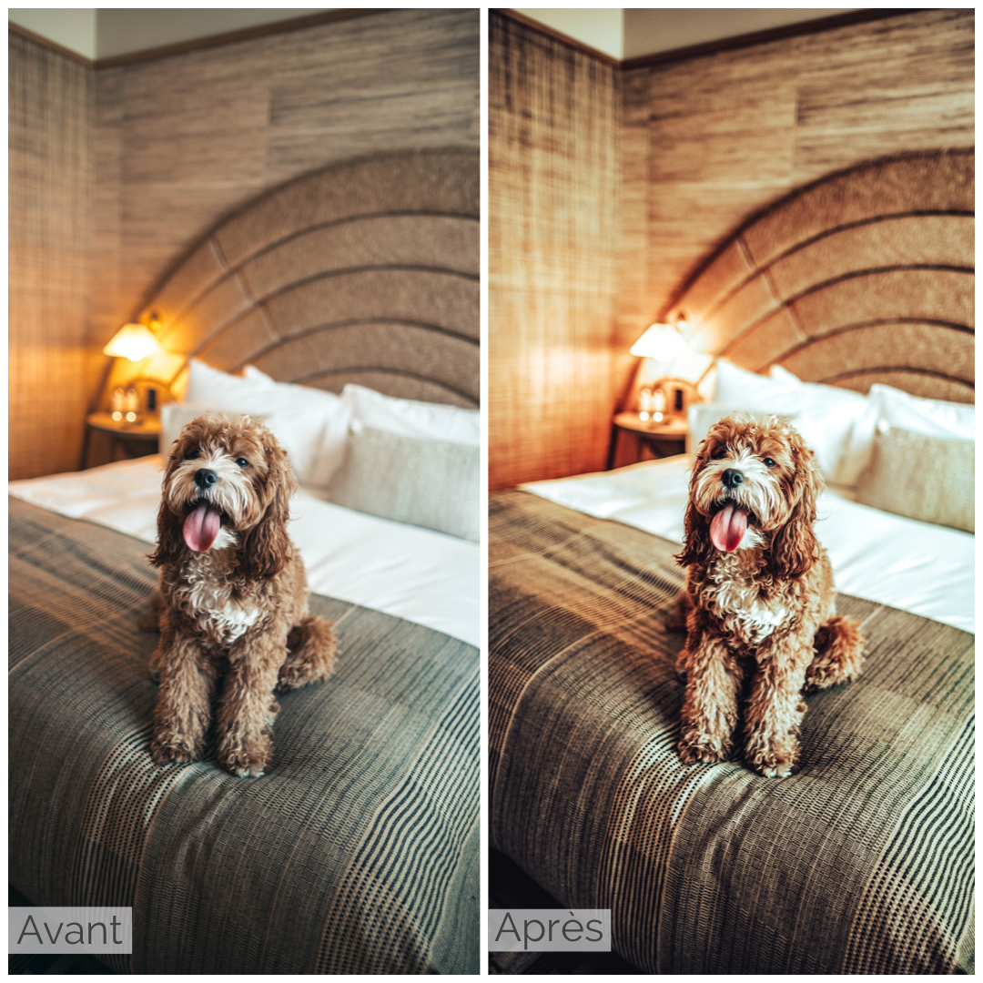 Presets Lightroom CITY Effect - Mobile & Ordinateur