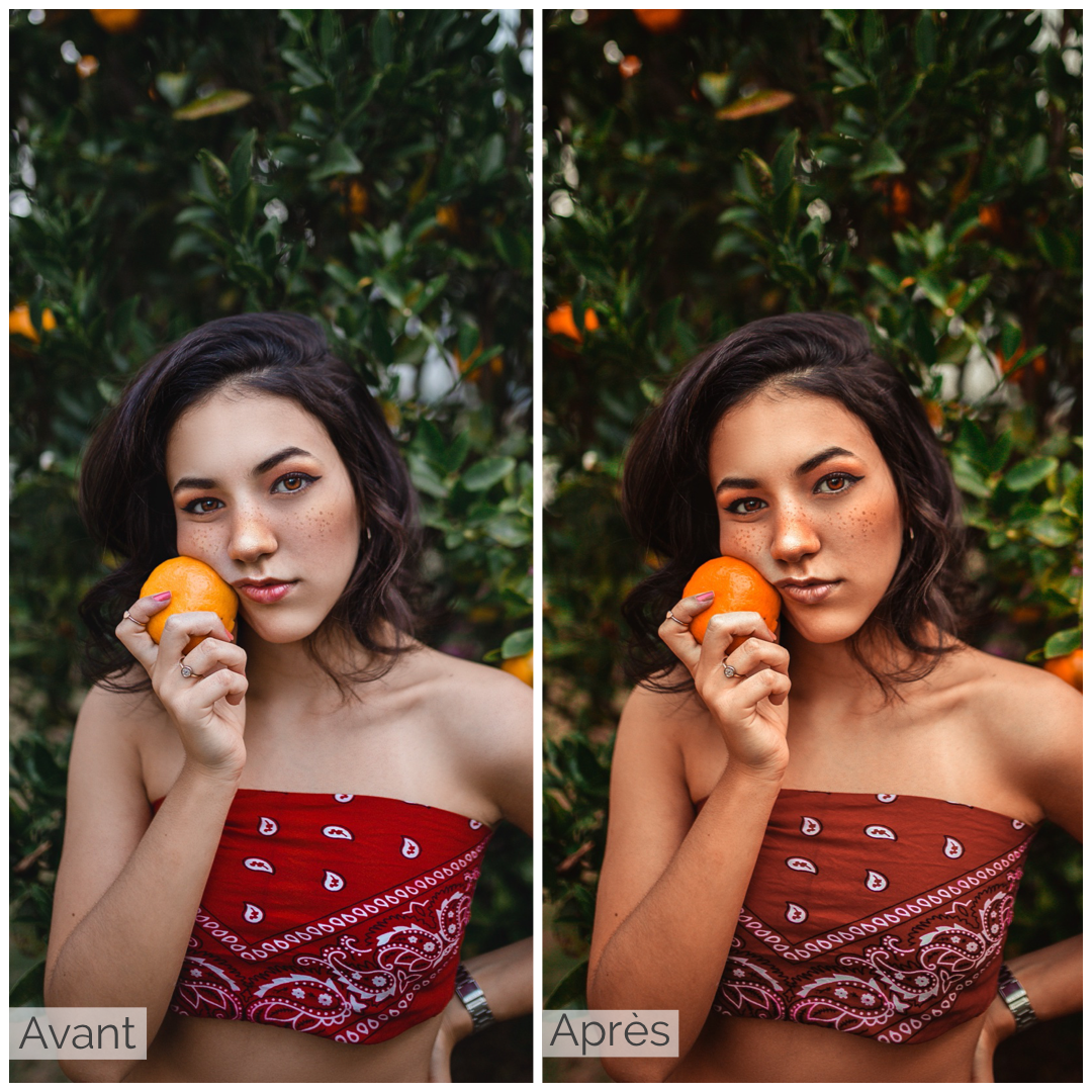Presets Lightroom PORTRAIT Effect - Mobile & Ordinateur