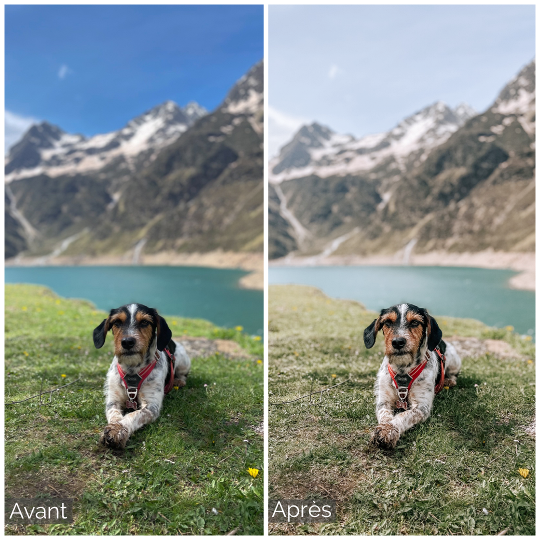 Presets Lightroom TYSON Effect - Mobile & Ordinateur