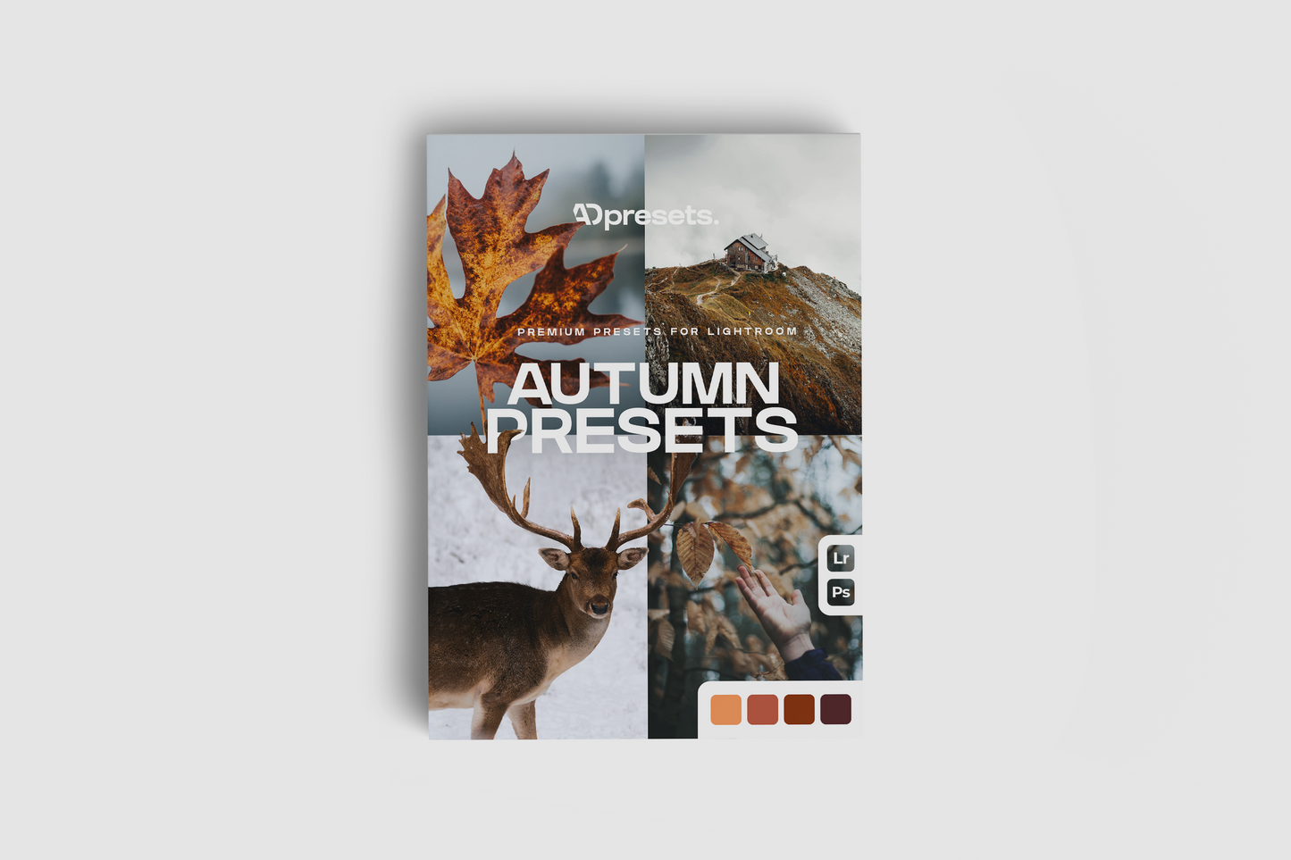 PACK COMPLET 347 Presets Lightroom - Mobile & Ordinateur